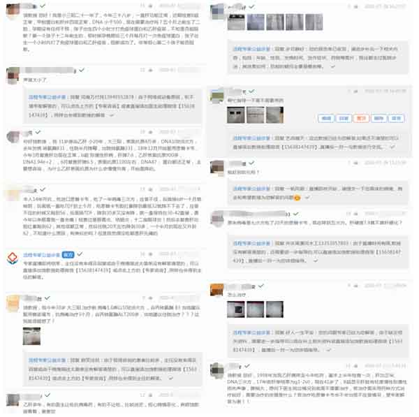 ԭ�Ϻ��β�̩��Ҷ����������Ҹ����ƹ����е�ע�����